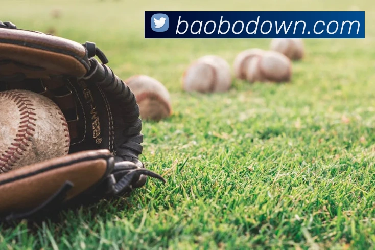 宝博体育发展历程